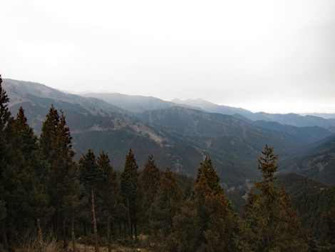 20190214hike (87)